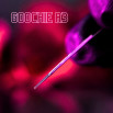 Голки GOOCHIE 3R